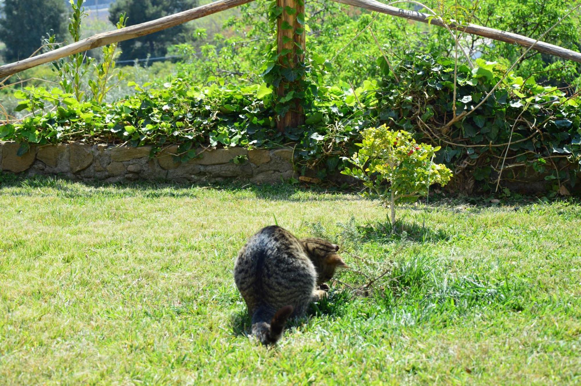 Antico Borgo Etneo Country Hotel Calatabiano Eksteriør bilde